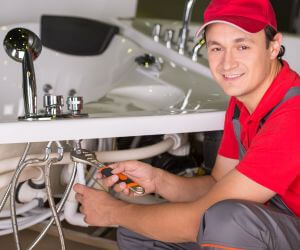 About Plumbers Pros Biscoe, AR